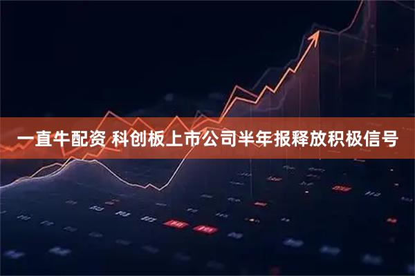 一直牛配资 科创板上市公司半年报释放积极信号