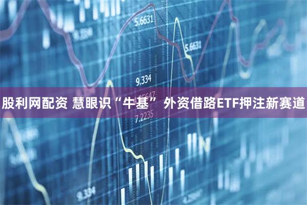股利网配资 慧眼识“牛基” 外资借路ETF押注新赛道