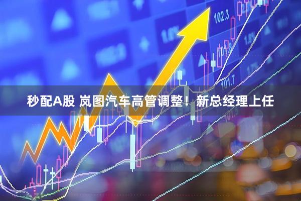 秒配A股 岚图汽车高管调整！新总经理上任